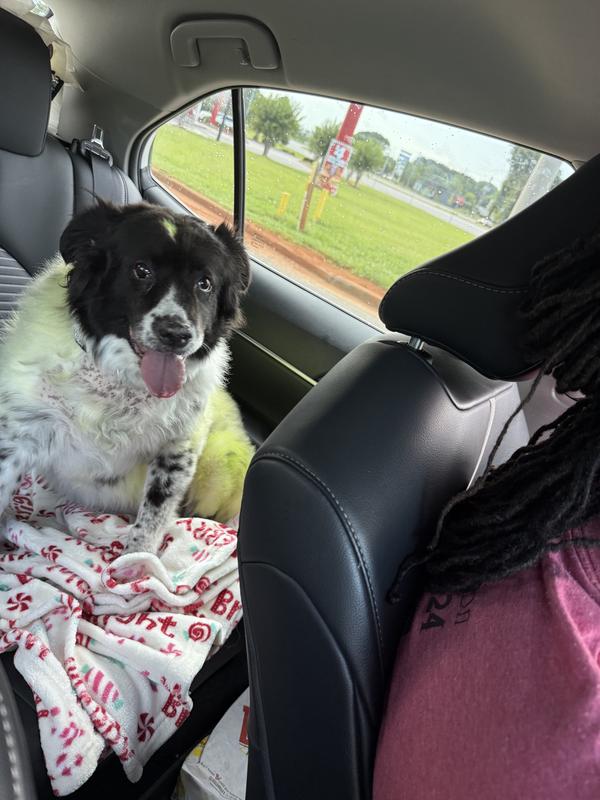 don’t talk about her weight she sensitive