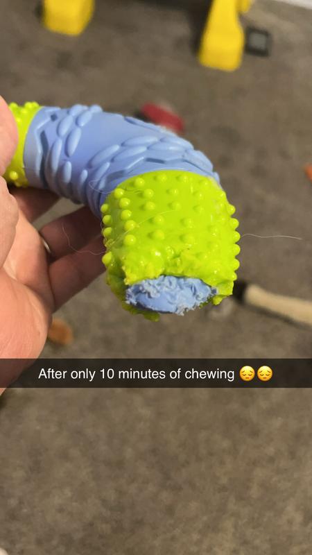 Only 10 minutes of chew time