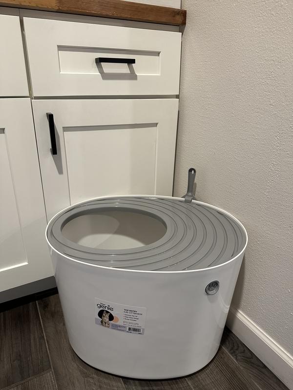 Stylish in laundry room