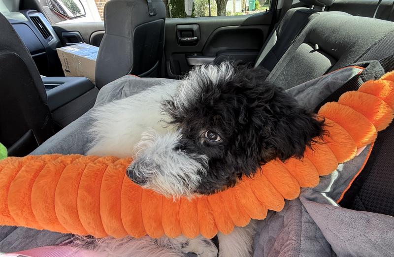 Georgia Loves this as a pillow and a toy!