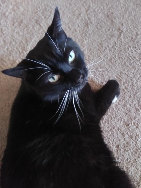 The I love you look.