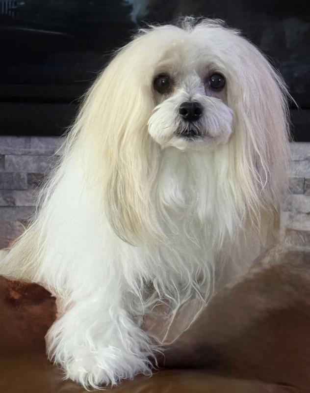 Feeling just fine❤️