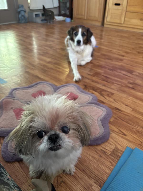 She’s got that glowing contraption thing that makes a funny sound.