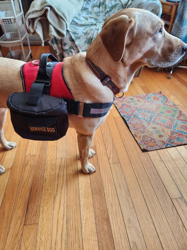 Chewy service dog clearance harness