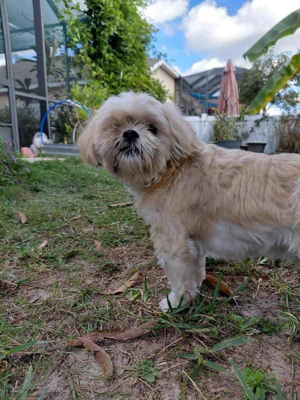 4 years on this food