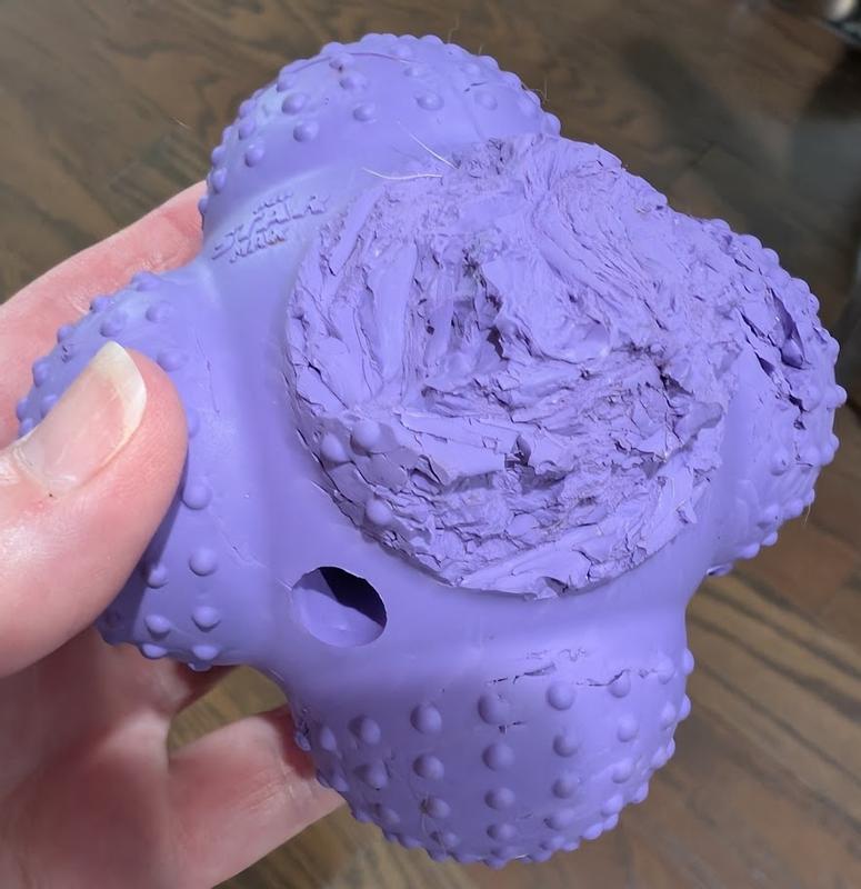 This was after 15 minutes of hard chewing from my dog.