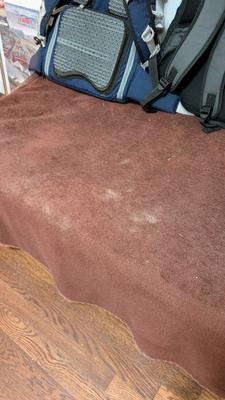 Little foot prints, litter box is about 5 feet from here.