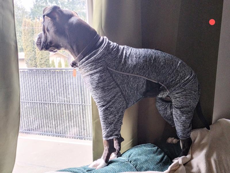 KURGO Stowe Base Layer Dog Sweater, Heather Black, XSmall