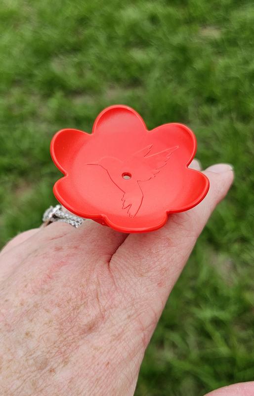 Attract Hummingbirds Hummingbird Ring Feeder By Zummr ZUMMR