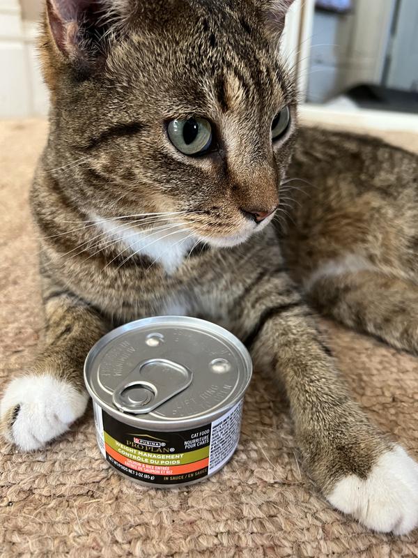 This is my can!