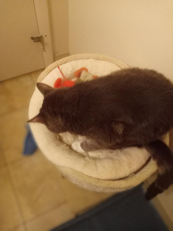 Sugar loves the taste