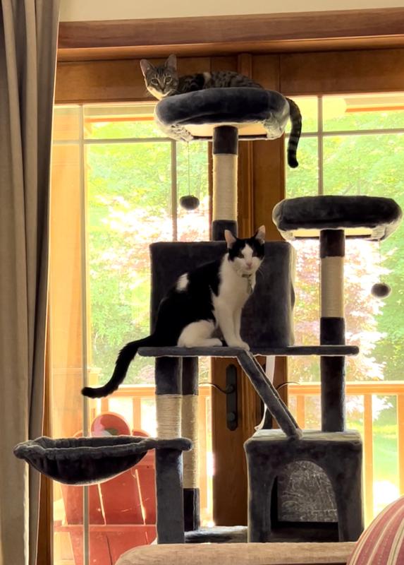 Yaheetech 71.5-in Tree with 2 Cozy Perches Cat Tree, Large