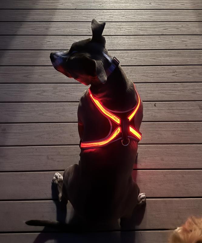 Lights up in 8 different colors! This is the red.