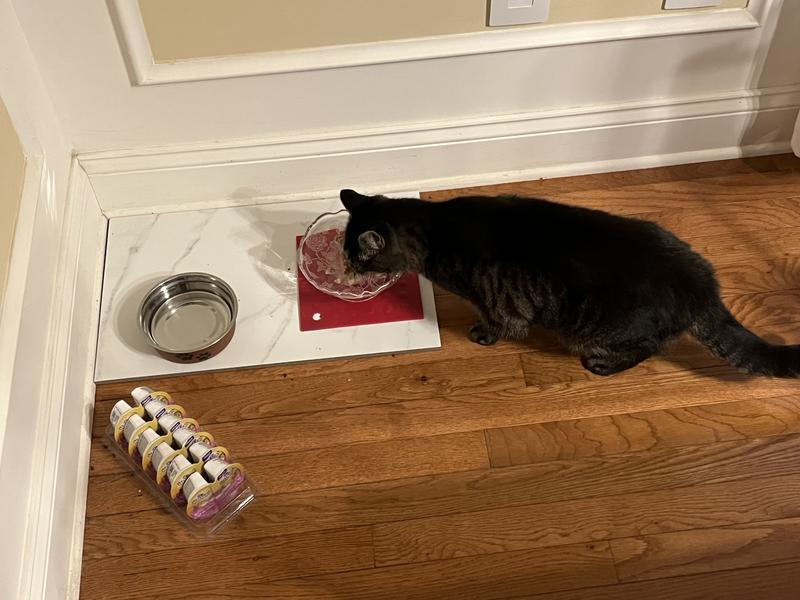 Cups come in a plastic tray to hold them conveniently.