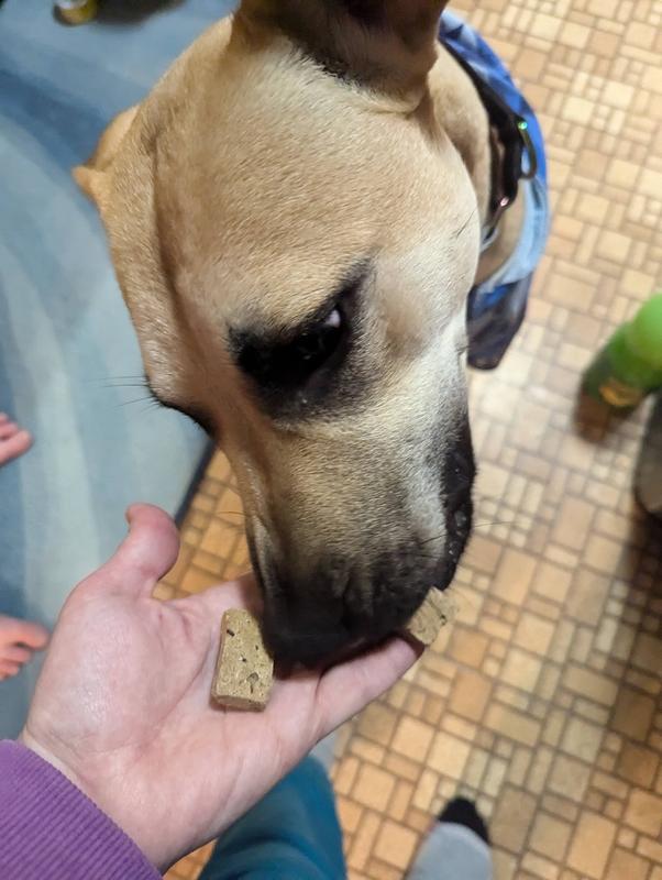 Penny gently takes her treat.