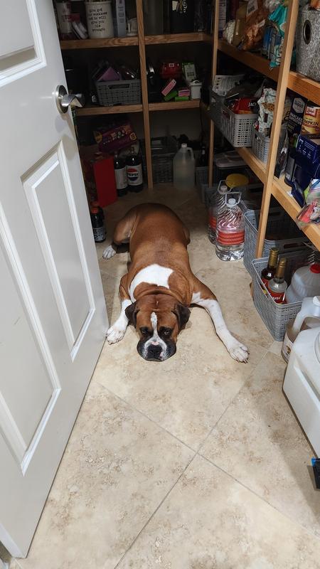 I won't come out until I get one.