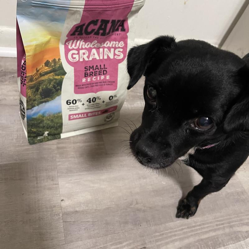 Acana dog food clearance advisor