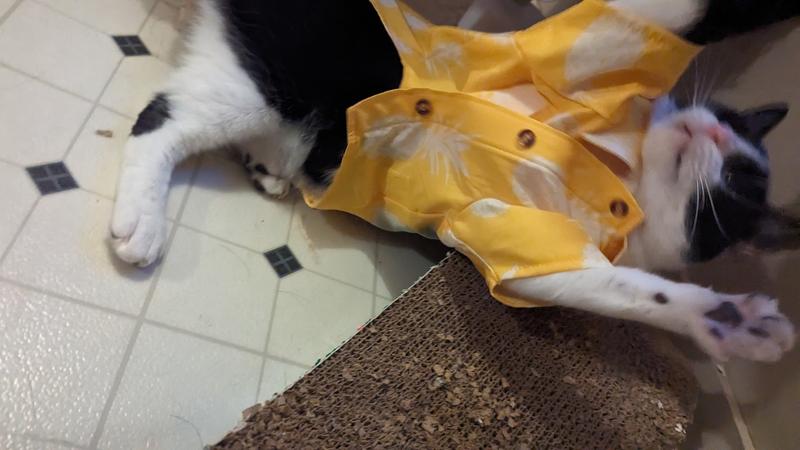 Agitation takes over