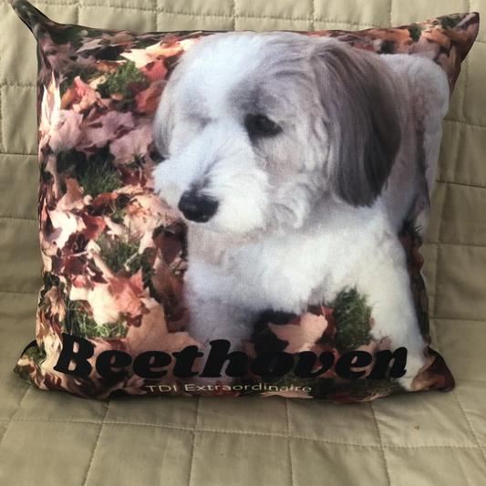 Beethoven relaxing in the fall leaves (pillow)