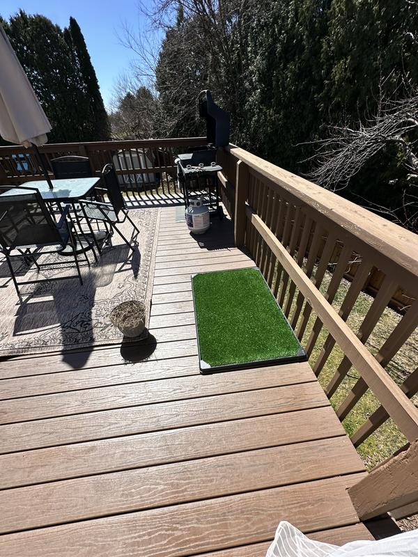 Dog pan with artificial grass