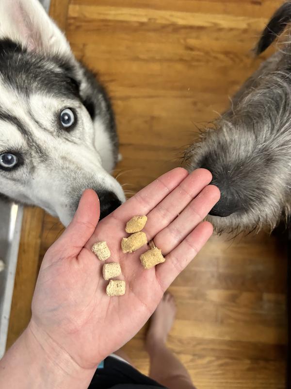 Two bags side by side