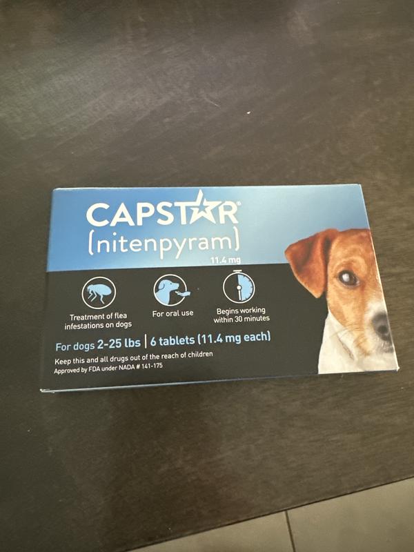 CAPSTAR Flea Oral Treatment for Dogs 2 25 lbs 6 Tablets Chewy