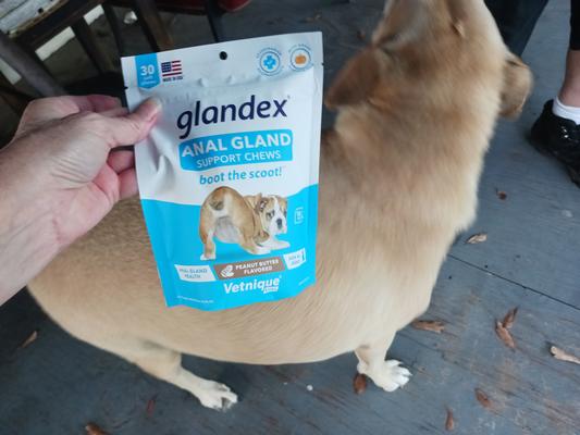 Glandex Anal Gland Chews