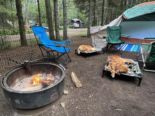 Chilling while camping.