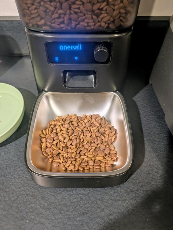Wide feeding bowl to reduce whisker fatigue. Yep, I'm that car Mom.
