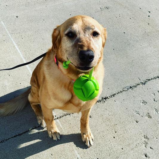 Discontinued KONG Flingz Ball & Rope Dog Toy