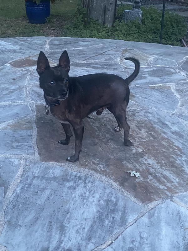 My boy!!