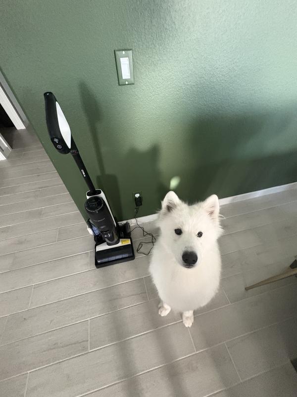 The main fur culprit