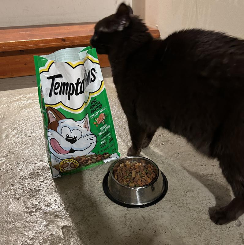 Cat only eat temptations 2024 treats