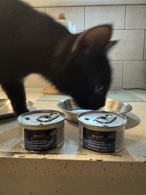 Can’t wait for the can to open!