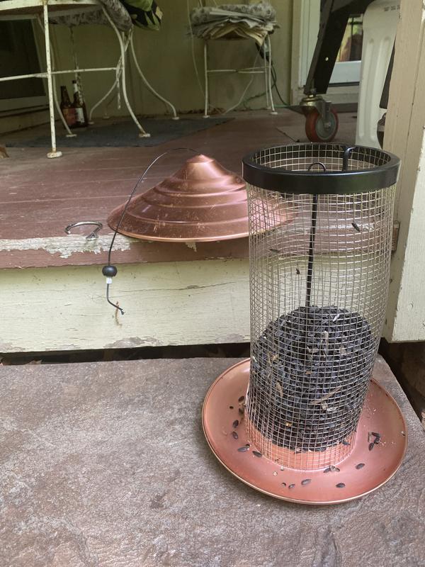 Disconnected and bent