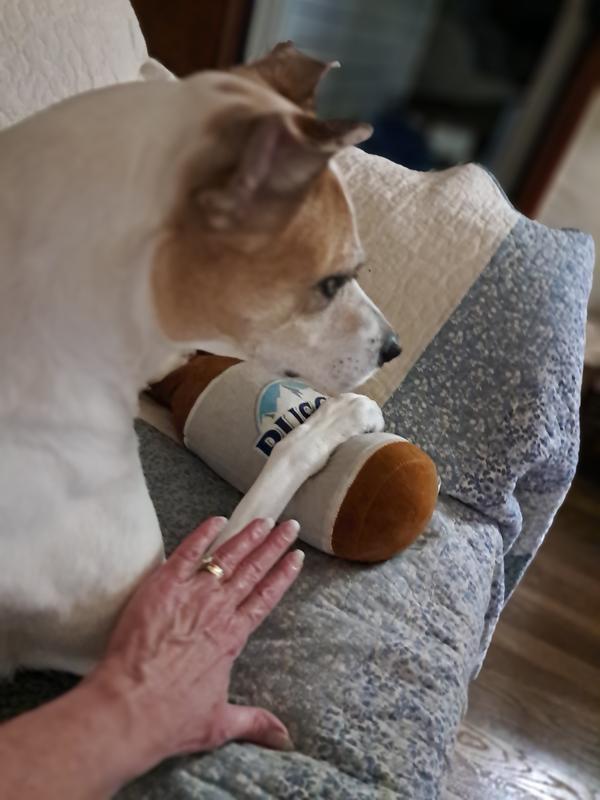 Don't touch my beer !!