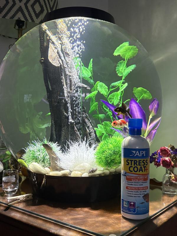 Femanga Wassertests und Aufbereitung für Aquarien online kaufen