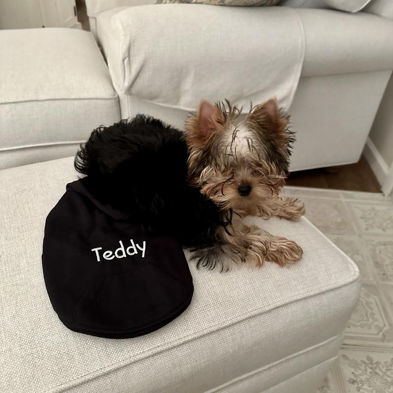 Teddy's Sweatshirt