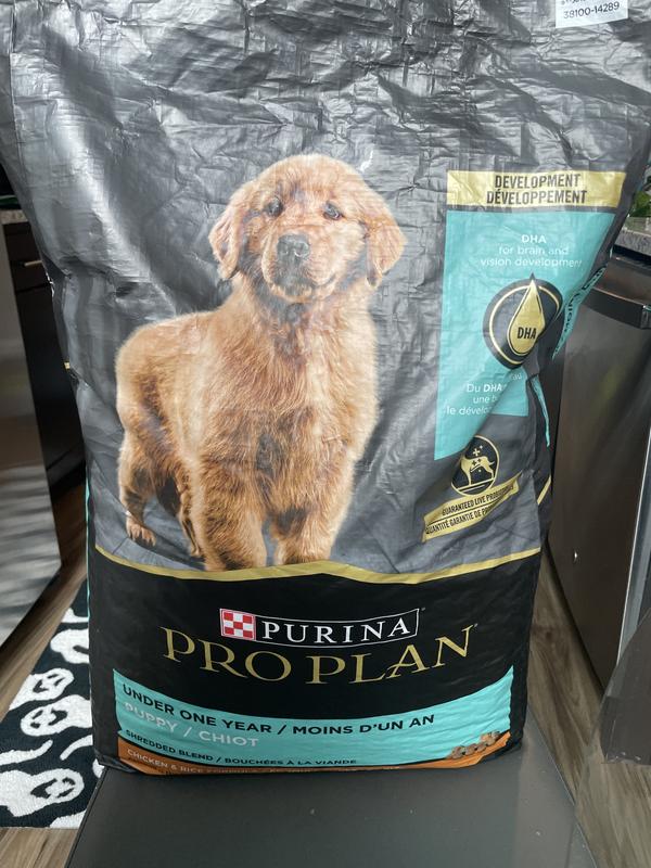 Pro Plan Puppy Chicken & Rice Formula