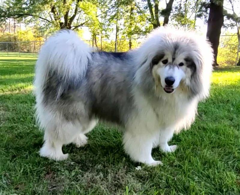 It takes a lot of care, work & different tools to look this good!