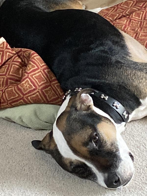 More comfy, less itches!