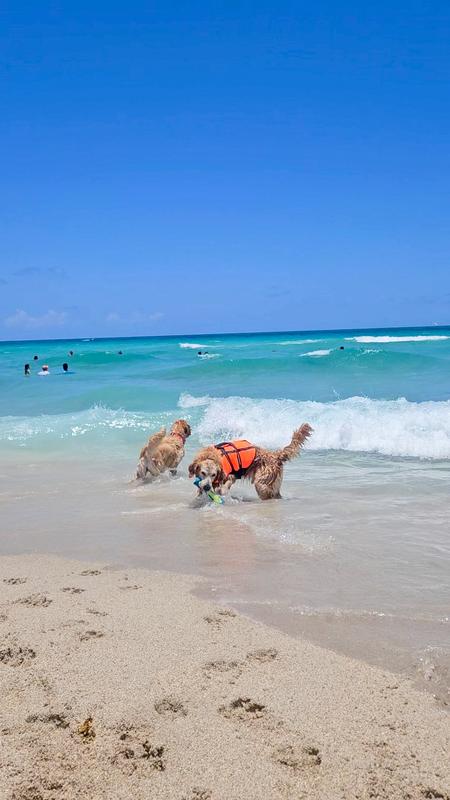Best water toy ever !!!