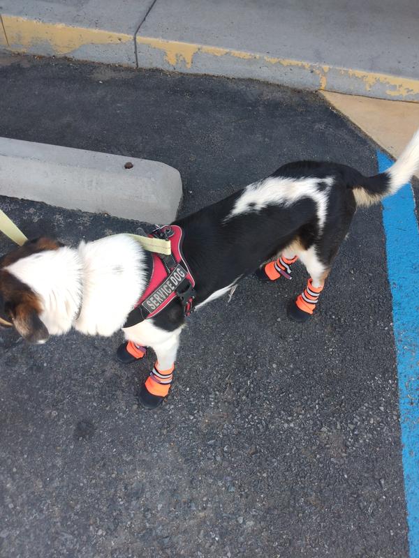 BARK BRITE All Weather Reflective Neoprene Dog Boots, count