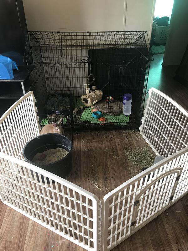 FRISCO Wire Small Pet House Shaped Cage, 48in