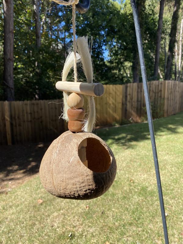 Frisco Coco Swing With Me Bird Toy