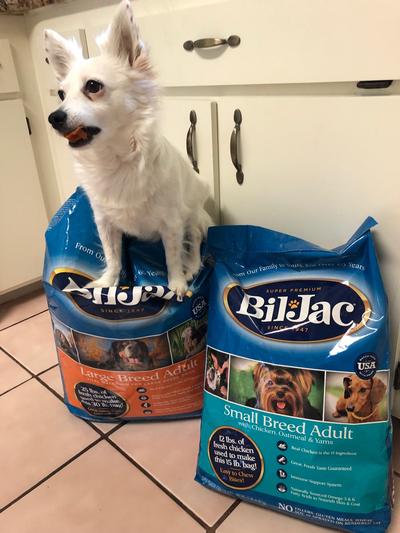 Bil jac clearance large breed adult