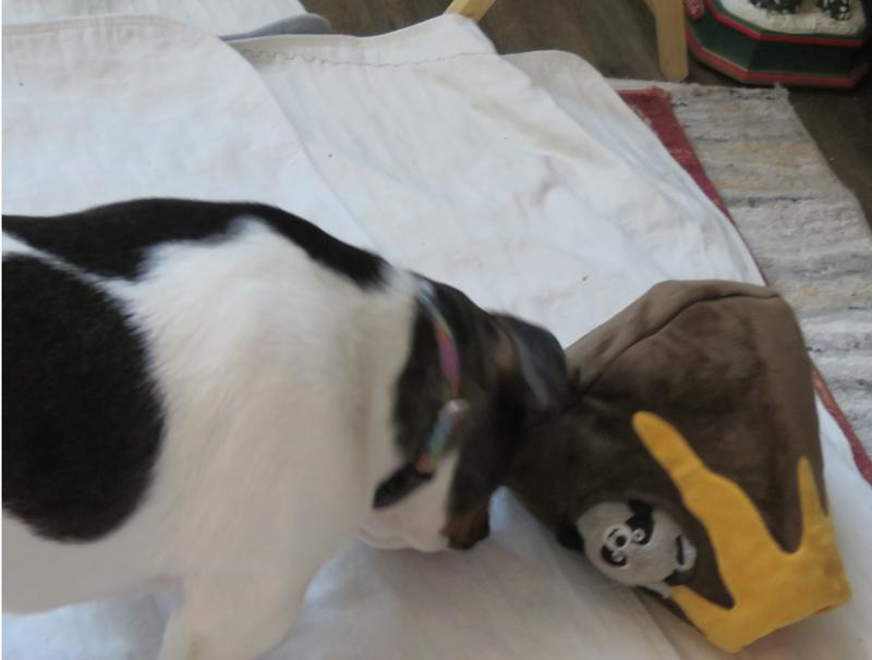 sorry blurry...too much dog movement