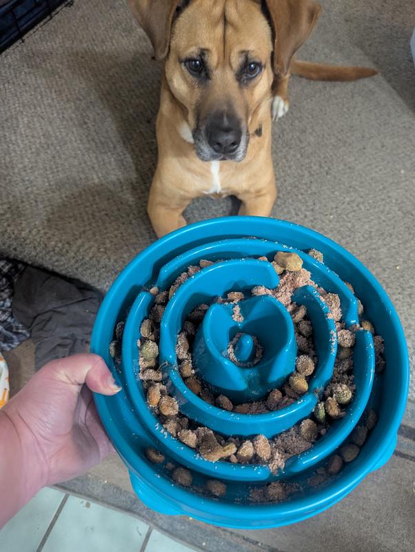 Impatiently waiting for food