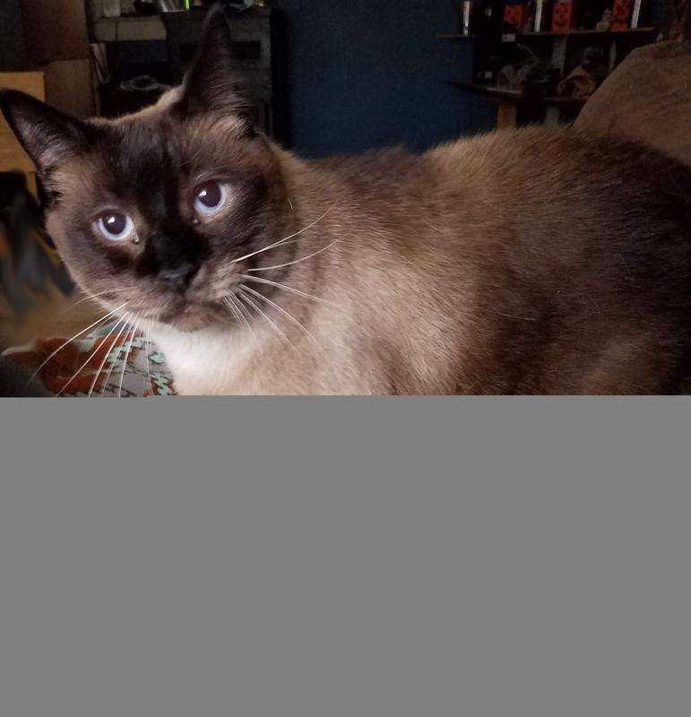 Bud The Stud (at least he thinks so!)