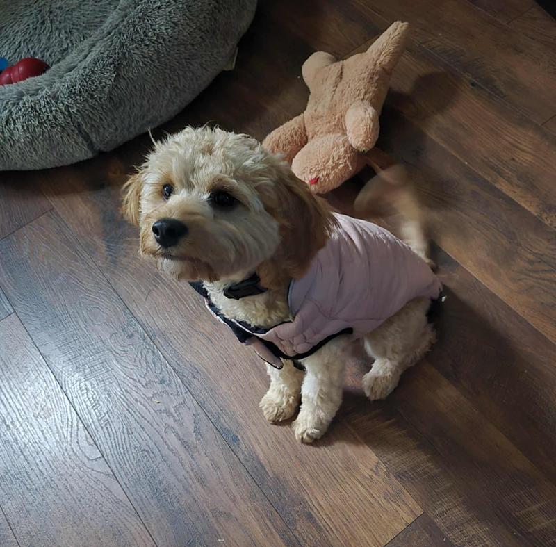 Ready for colder weatther!